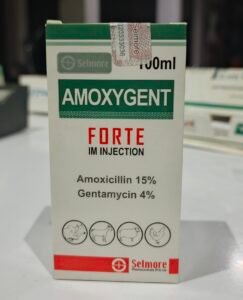 Amoxigent Antibiotic, Mastitis