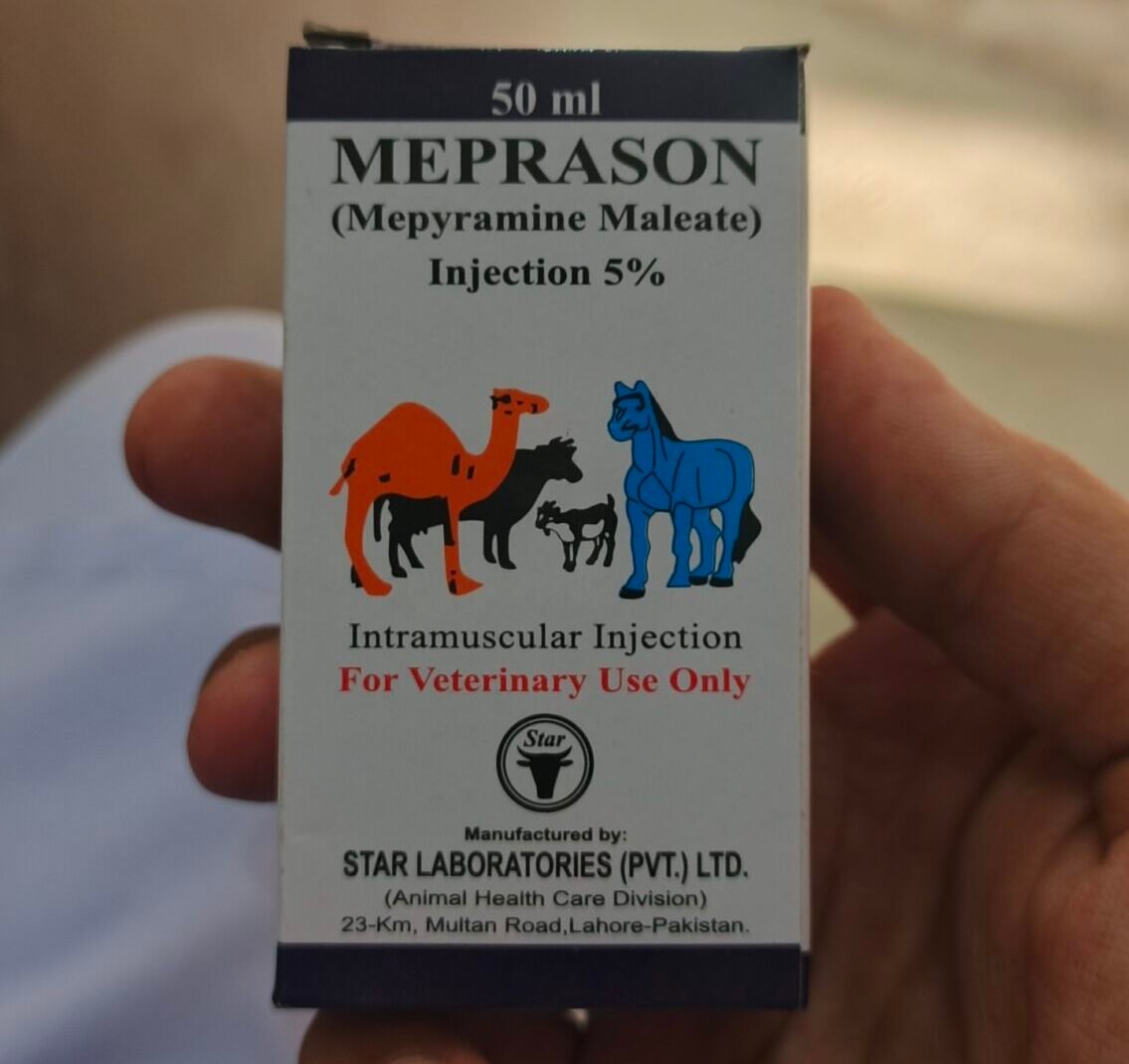 Meprason injection: Mepyramine Maleate Based Injection