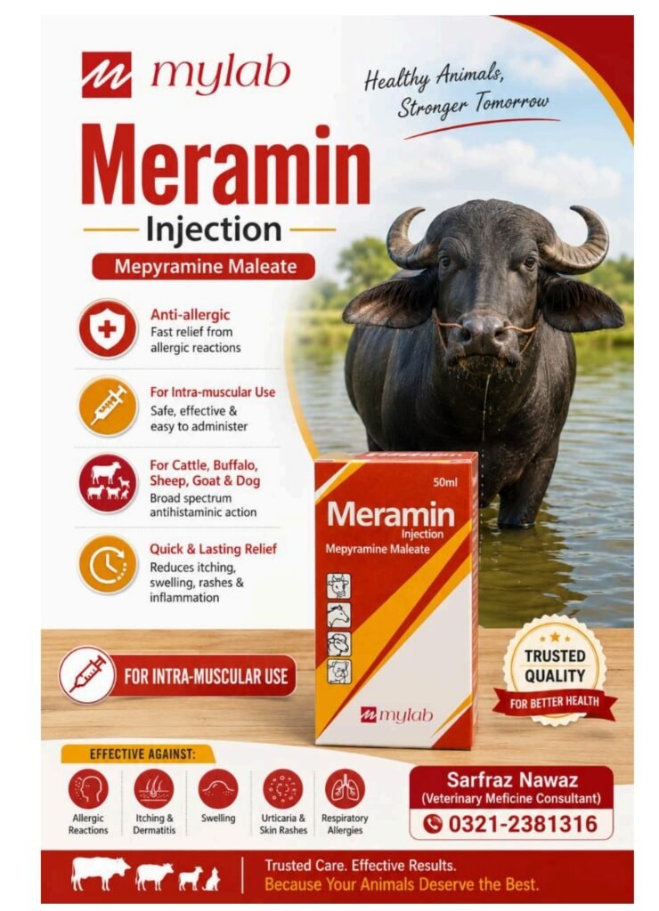 Meramin-Mepyramin Maleate