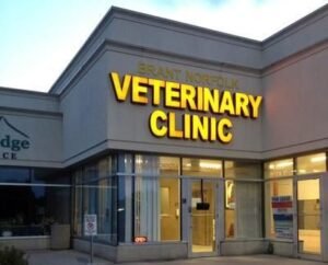 Best Vet Clinic in Peshawar