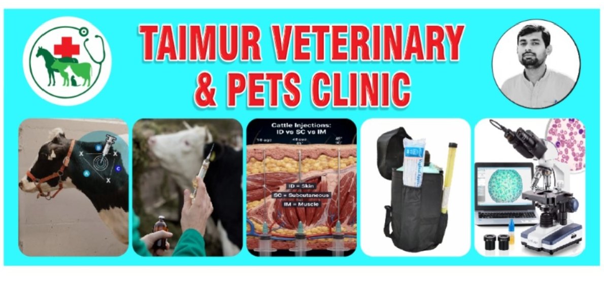 Dr. Taimur Ahmed, Veterinarian or Veterinary Doctor